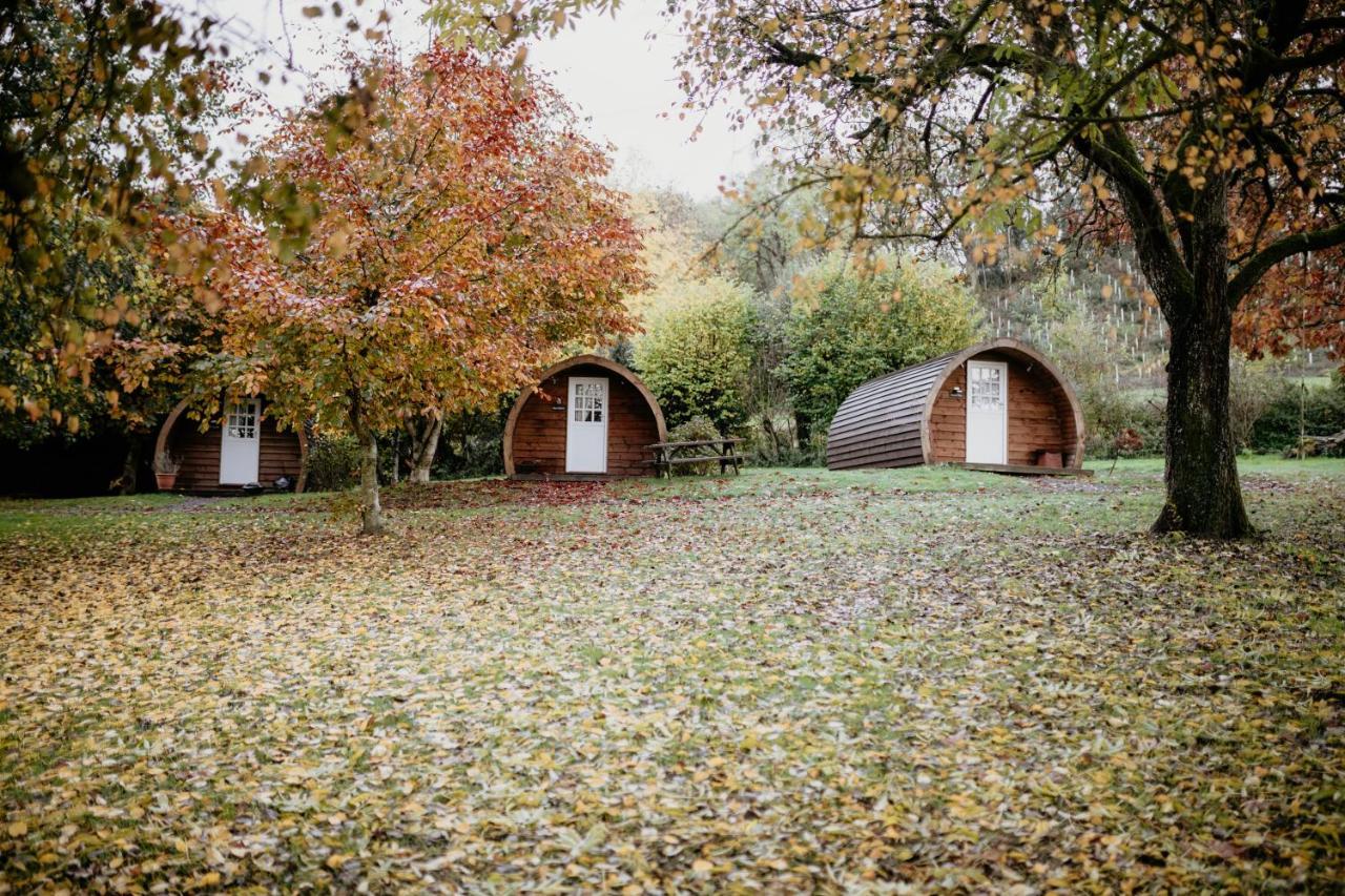 Caplor Glamping & Lodges 헤리퍼드 외부 사진